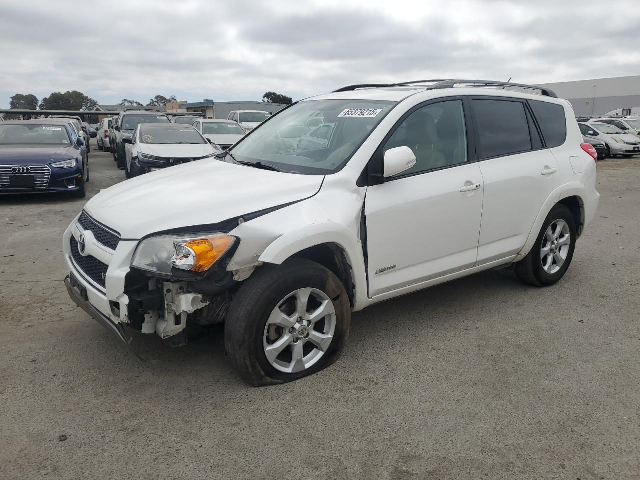 2009 Toyota Rav4 Limited VIN: 2T3BK31V49W004608 Lot: 65379215