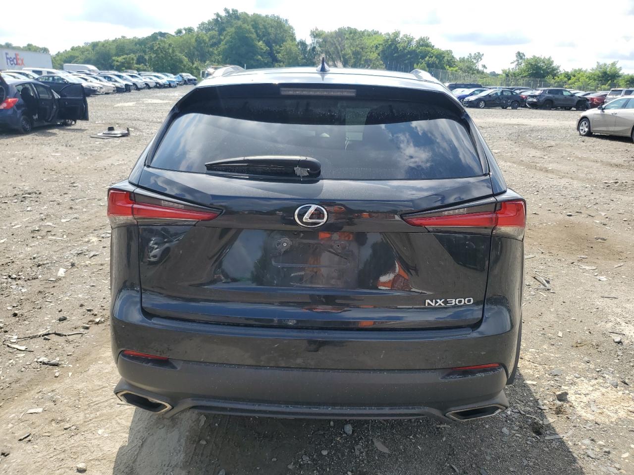 2020 Lexus Nx 300 VIN: JTJGARDZ6L5014269 Lot: 64047165