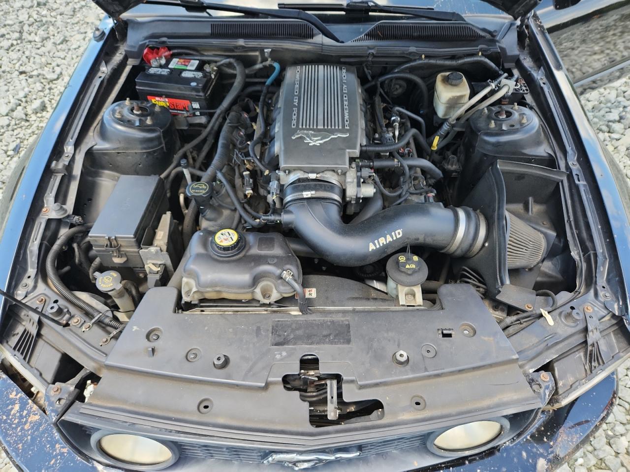 2008 Ford Mustang Gt VIN: 1ZVHT85H985199469 Lot: 65331555