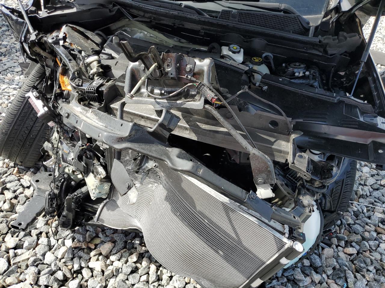 2023 Buick Envision Preferred VIN: LRBFZMR46PD185556 Lot: 66294265