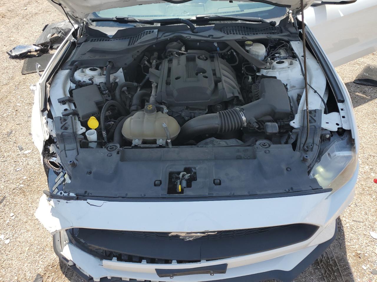 2019 Ford Mustang VIN: 1FATP8UH5K5179347 Lot: 64939955