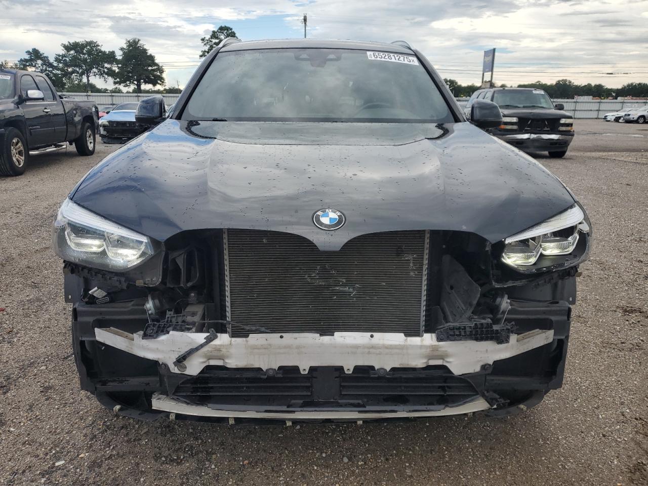 2019 BMW X3 Sdrive30I VIN: 5UXTR7C52KLE96232 Lot: 65281275