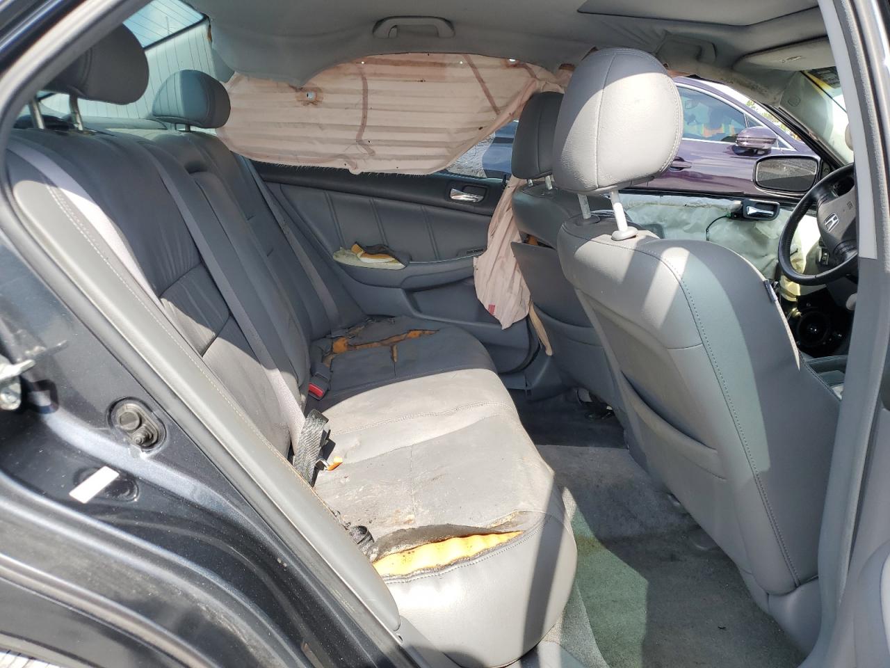 2006 Honda Accord Ex VIN: 1HGCM56856A030675 Lot: 64403935