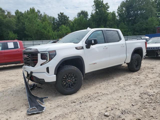  GMC SIERRA 2023 Biały