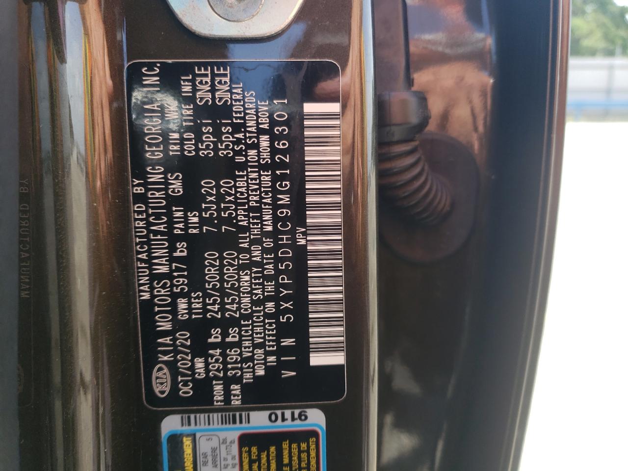 2021 Kia Telluride Sx VIN: 5XYP5DHC9MG126301 Lot: 63146965