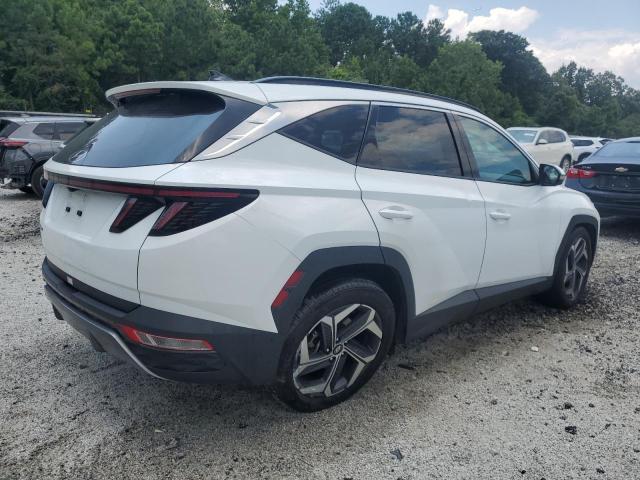  HYUNDAI TUCSON 2024 Белы