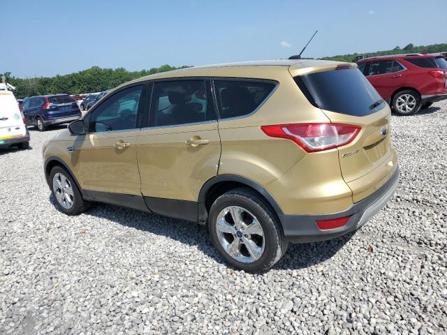  FORD ESCAPE 2014 Золотой