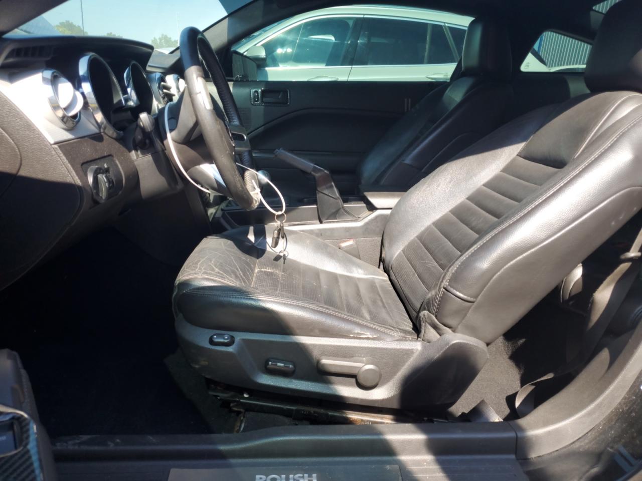2009 Ford Mustang Gt VIN: 1ZVHT82HX95119392 Lot: 64052365