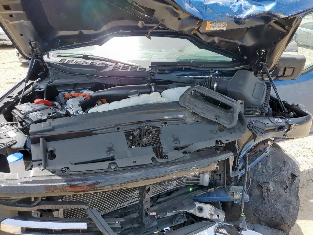 2024 Ford F150 Xlt VIN: 1FTFW3LD5RFA49309 Lot: 63294195