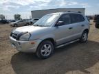 2007 HYUNDAI TUCSON GLS   à vendre chez Copart AB - CALGARY