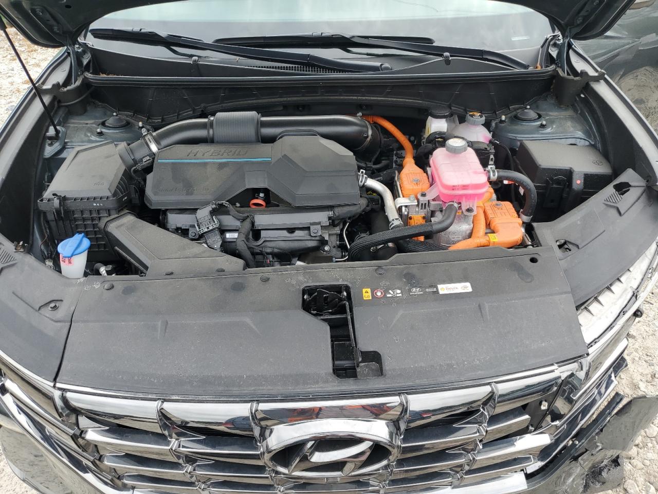 2024 Hyundai Tucson Limited VIN: KM8JECD11RU230478 Lot: 63561615