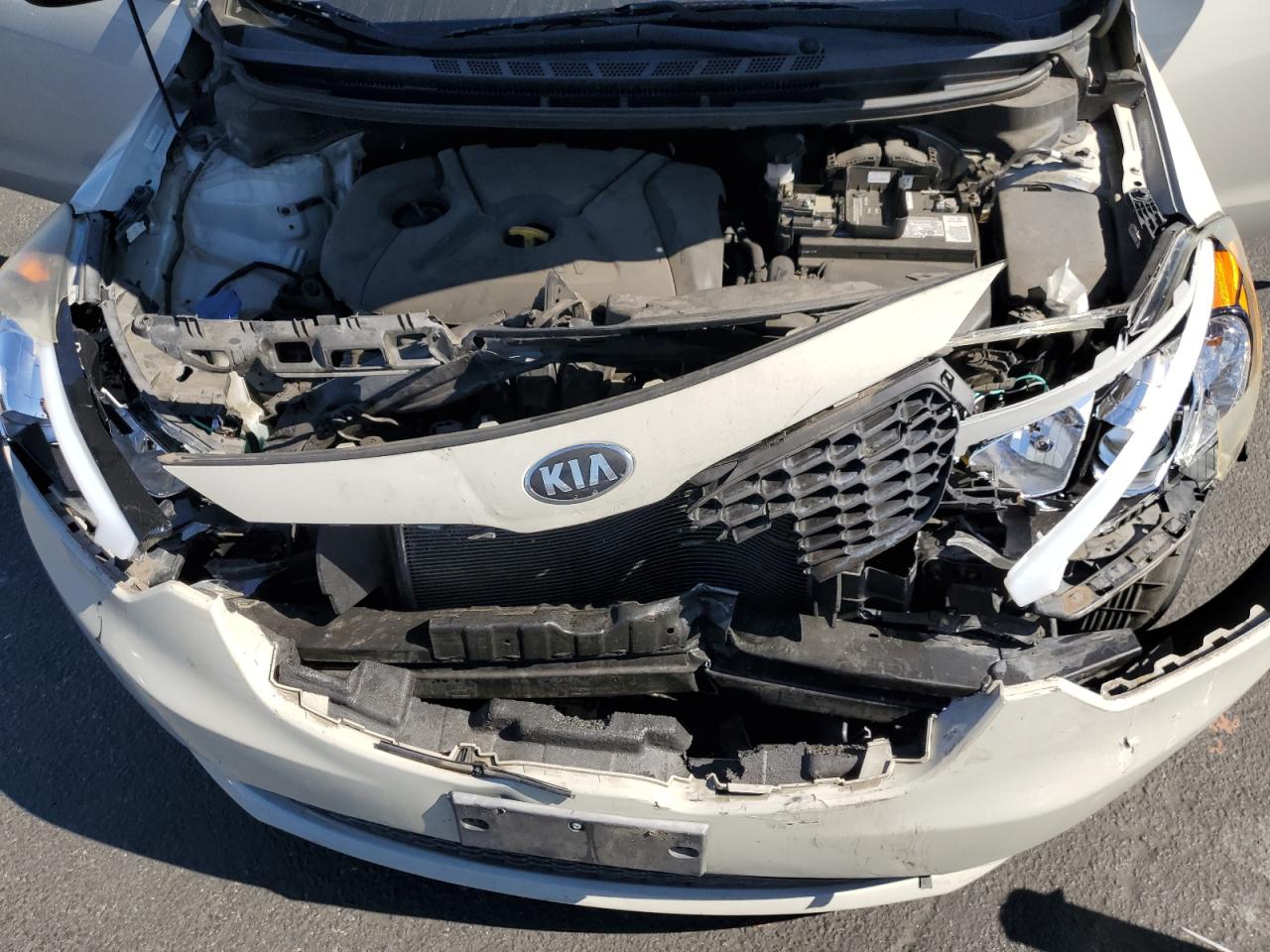 2014 Kia Forte Lx VIN: KNAFK4A65E5192974 Lot: 65089305
