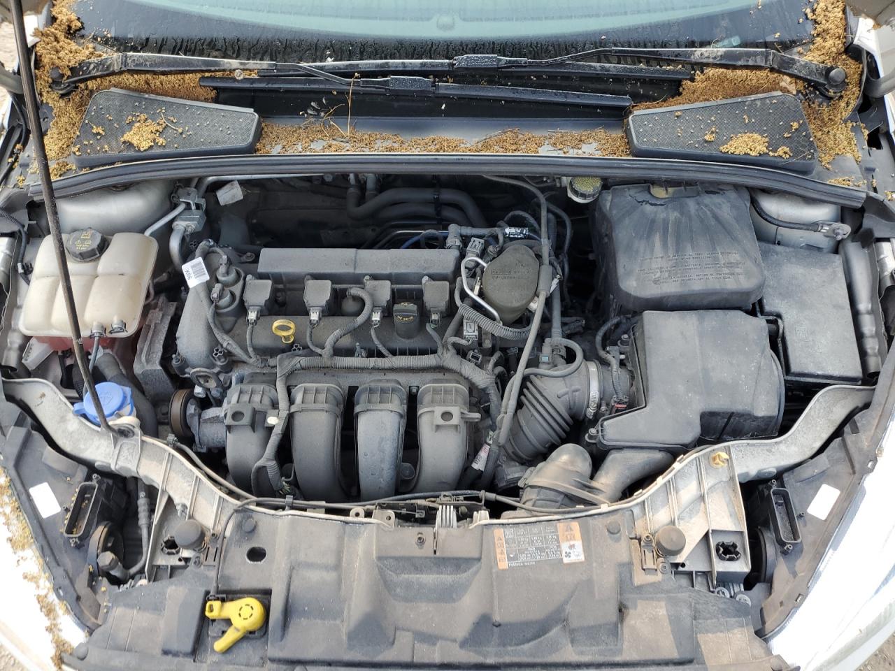 2015 Ford Focus Se VIN: 1FADP3F26FL265431 Lot: 64034335