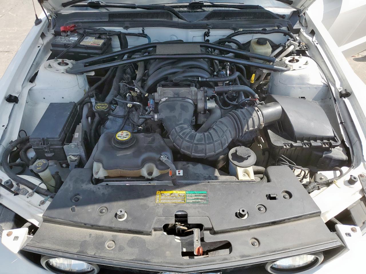 2008 Ford Mustang Gt VIN: 1ZVHT85H585202545 Lot: 65352765