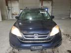 2010 HONDA CR-V EXL   à vendre chez Copart MA - NORTH BOSTON