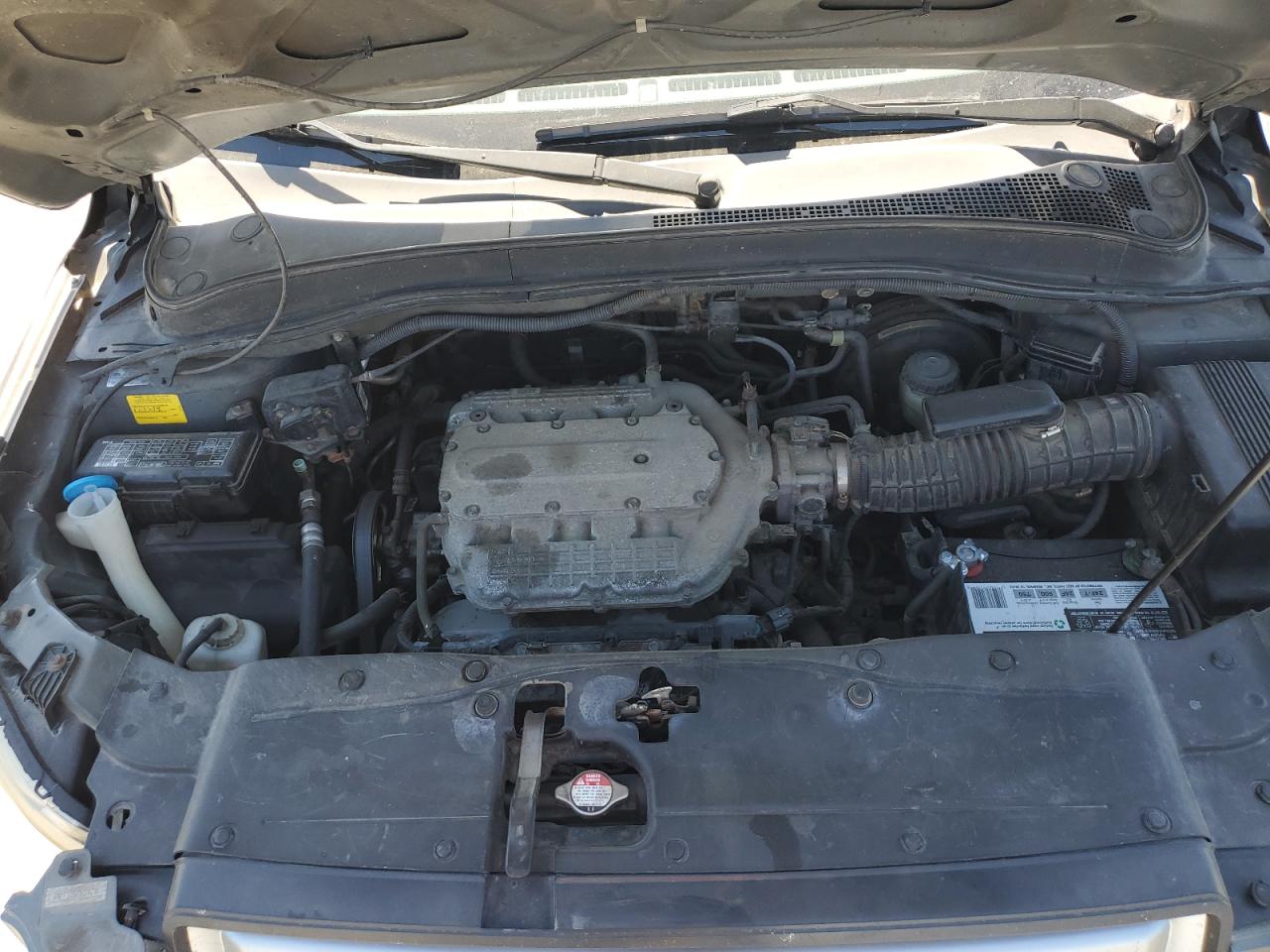 2007 Honda Pilot Exl VIN: 5FNYF18557B024278 Lot: 64236545