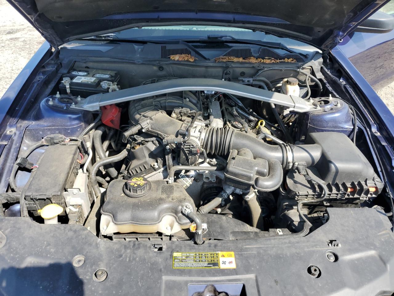 2011 Ford Mustang VIN: 1ZVBP8EM8B5150357 Lot: 63667405