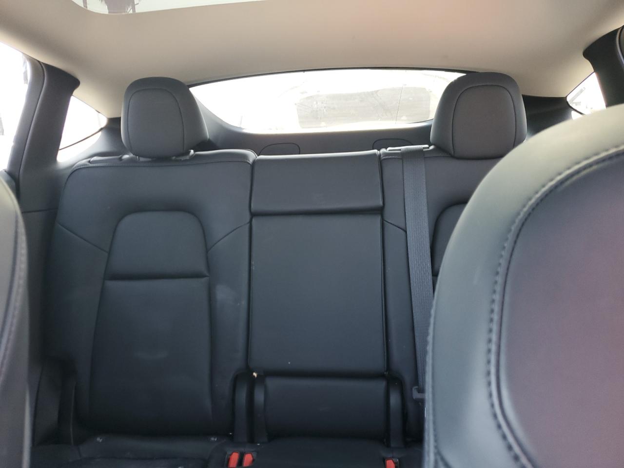 2022 Tesla Model Y VIN: 7SAYGDEE8NF558331 Lot: 64841655