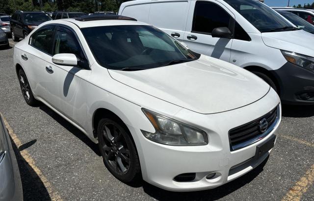 Sedans NISSAN MAXIMA 2012 White