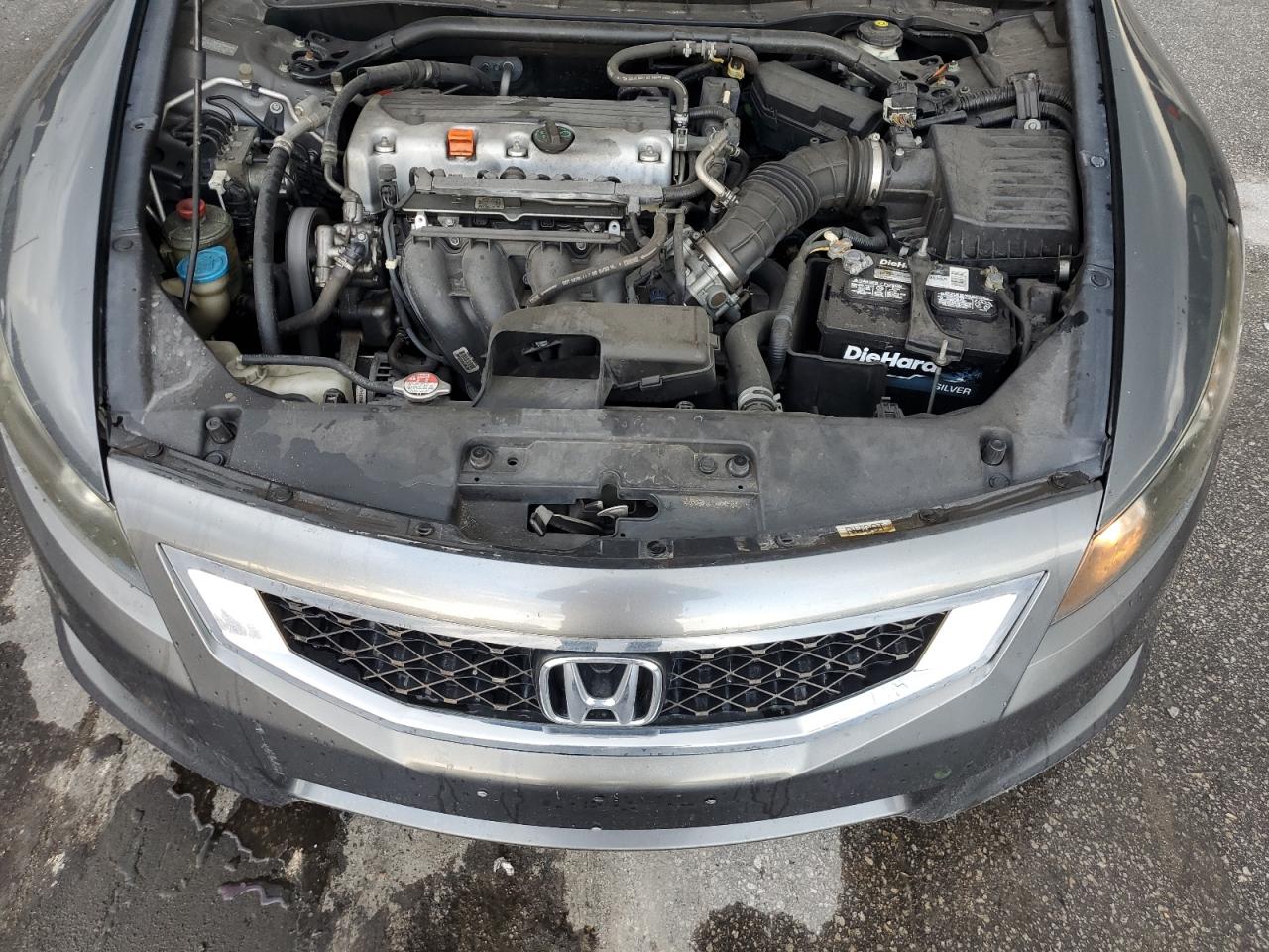 2010 Honda Accord Exl VIN: 1HGCS1B86AA013316 Lot: 64412795