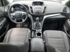 2013 FORD ESCAPE SE   for sale at Copart ON - COOKSTOWN