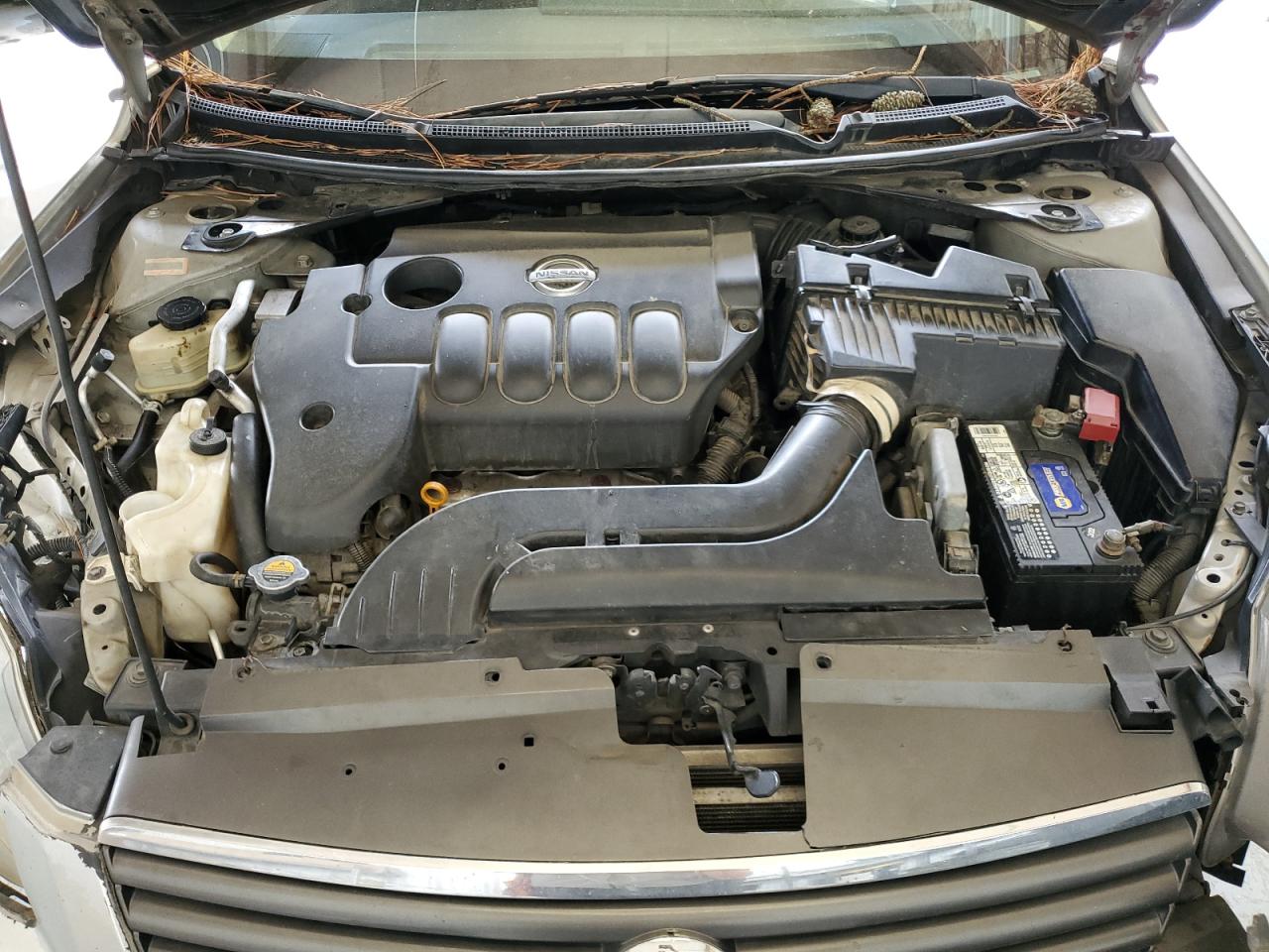 2009 Nissan Altima 2.5 VIN: 1N4AL21E29C197630 Lot: 65597365