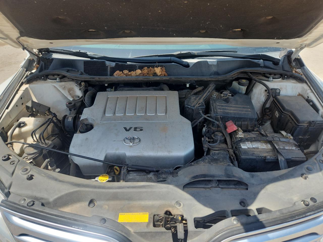 2010 Toyota Venza VIN: 4T3ZK3BB7AU024228 Lot: 65646575