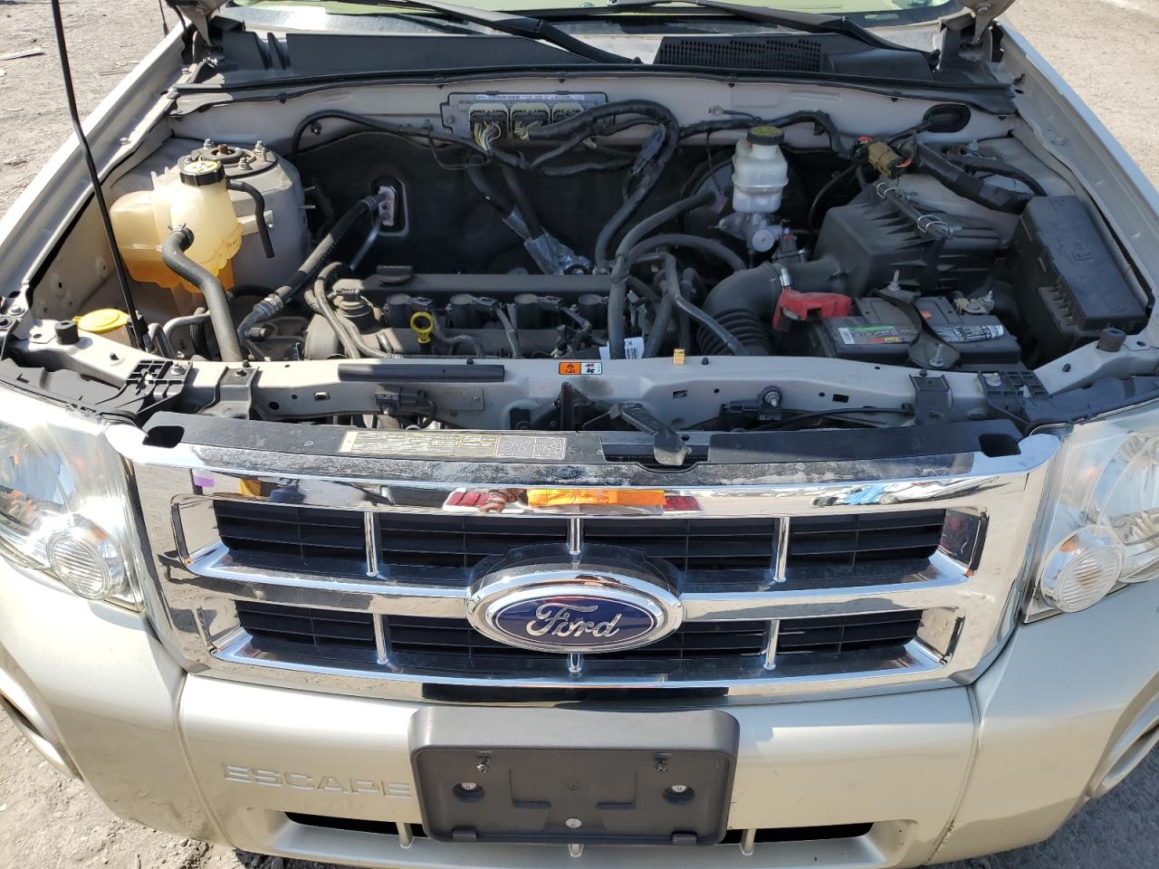 2011 Ford Escape Xlt VIN: 1FMCU0D72BKA14834 Lot: 65375425