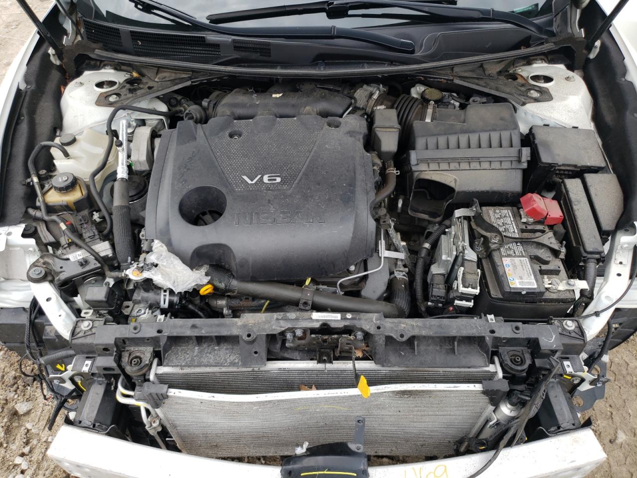 2021 Nissan Maxima Platinum VIN: 1N4AA6FV1MC511699 Lot: 63202065