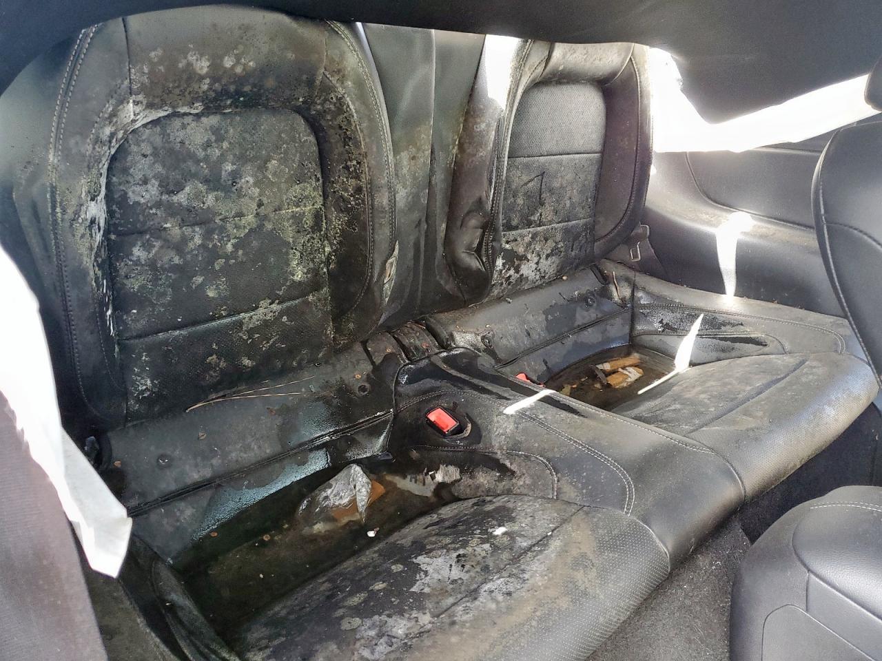 2019 Ford Mustang Gt VIN: 1FA6P8CF9K5128270 Lot: 62564895