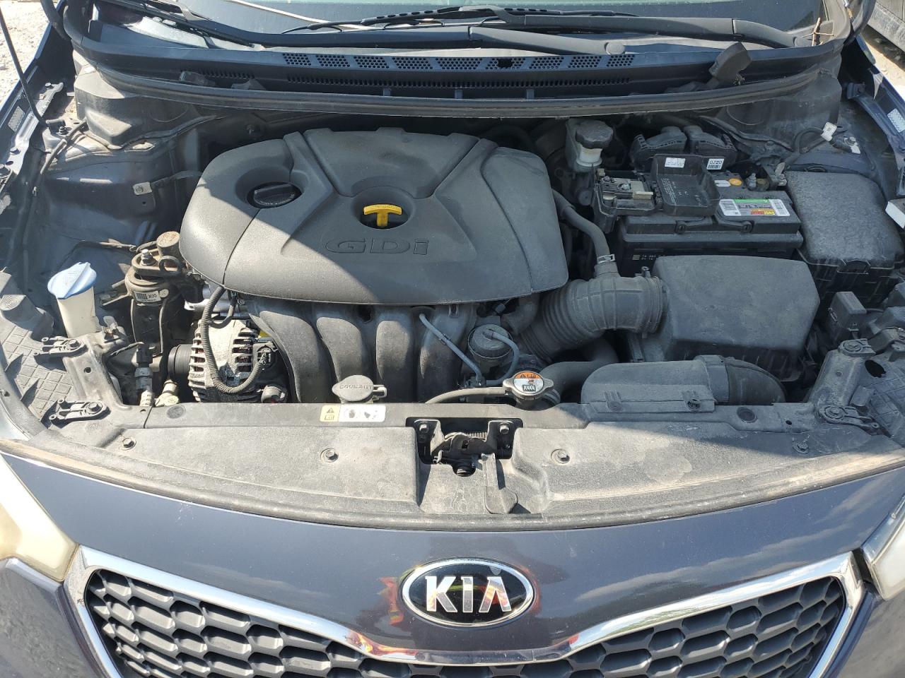 2016 Kia Forte Lx VIN: KNAFK5A85G5648773 Lot: 62456465