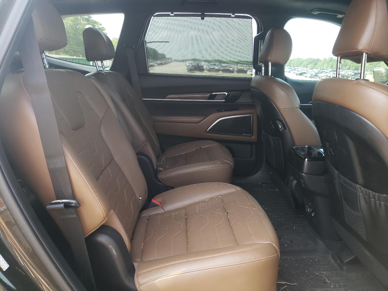 2021 Kia Telluride Sx VIN: 5XYP5DHC9MG126301 Lot: 63146965