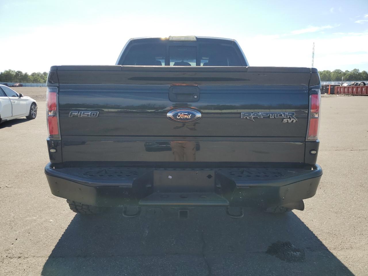 2011 Ford F150 Svt Raptor VIN: 1FTEX1R60BFB74651 Lot: 65591885