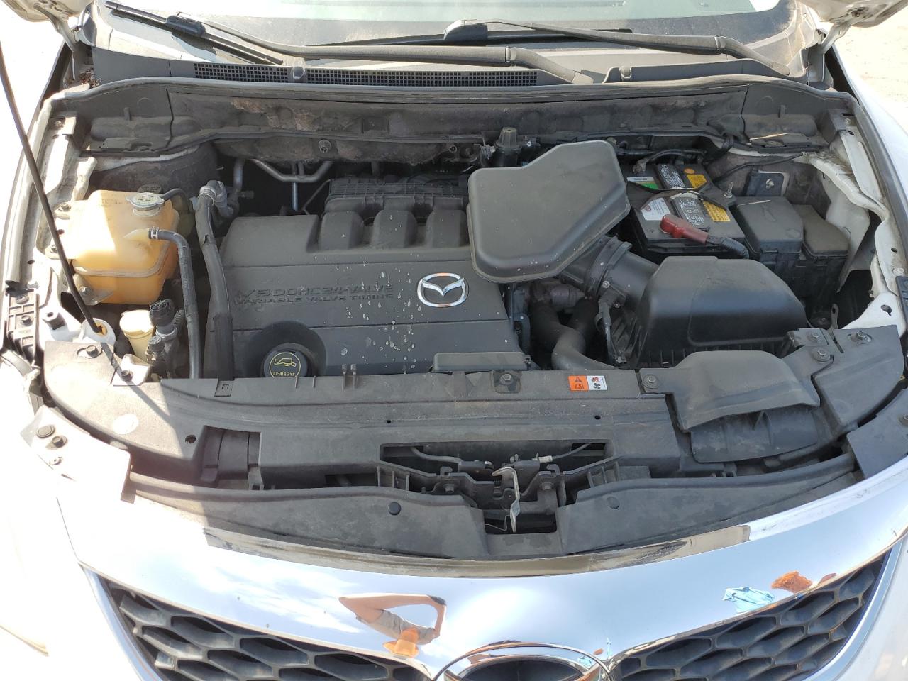 2010 Mazda Cx-9 VIN: JM3TB3MV9A0211897 Lot: 65080335