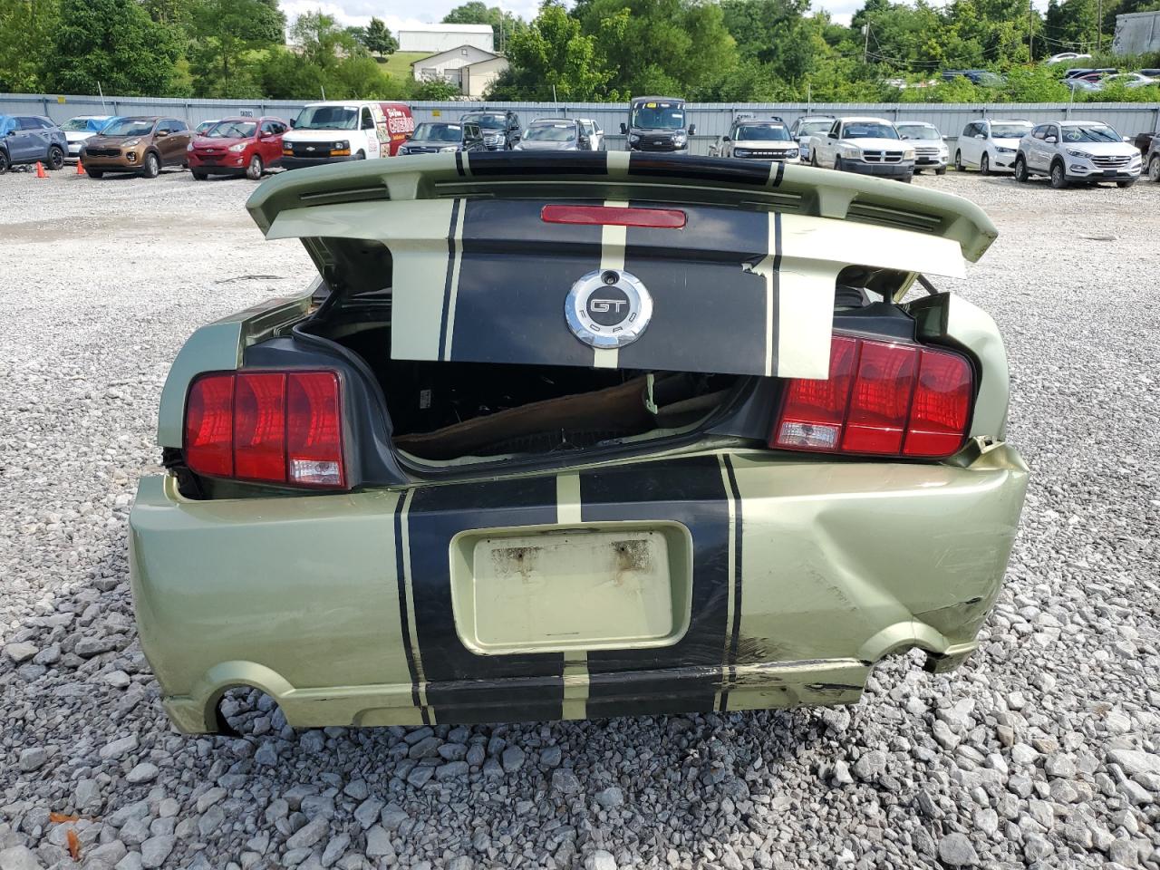 2006 Ford Mustang Gt VIN: 1ZVHT82H965239115 Lot: 65013805