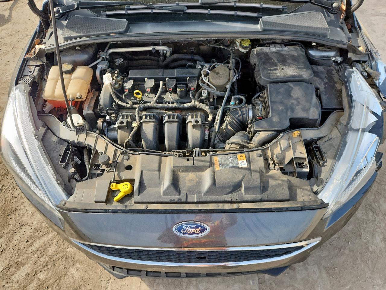 2015 Ford Focus Se VIN: 1FADP3F22FL219627 Lot: 65416535