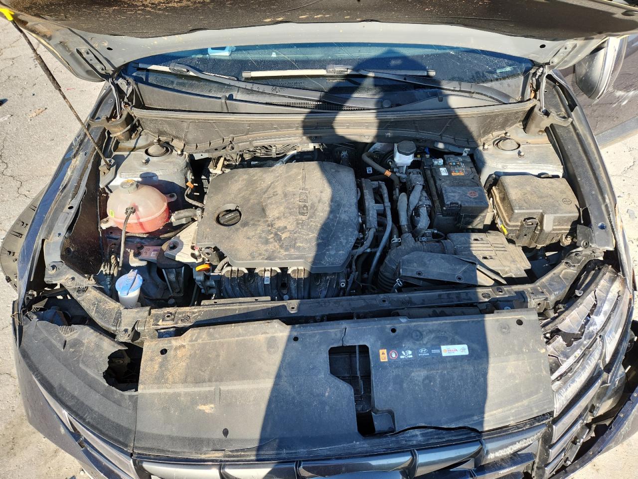 2022 Hyundai Tucson Sel VIN: KM8JB3AE6NU031727 Lot: 63034415