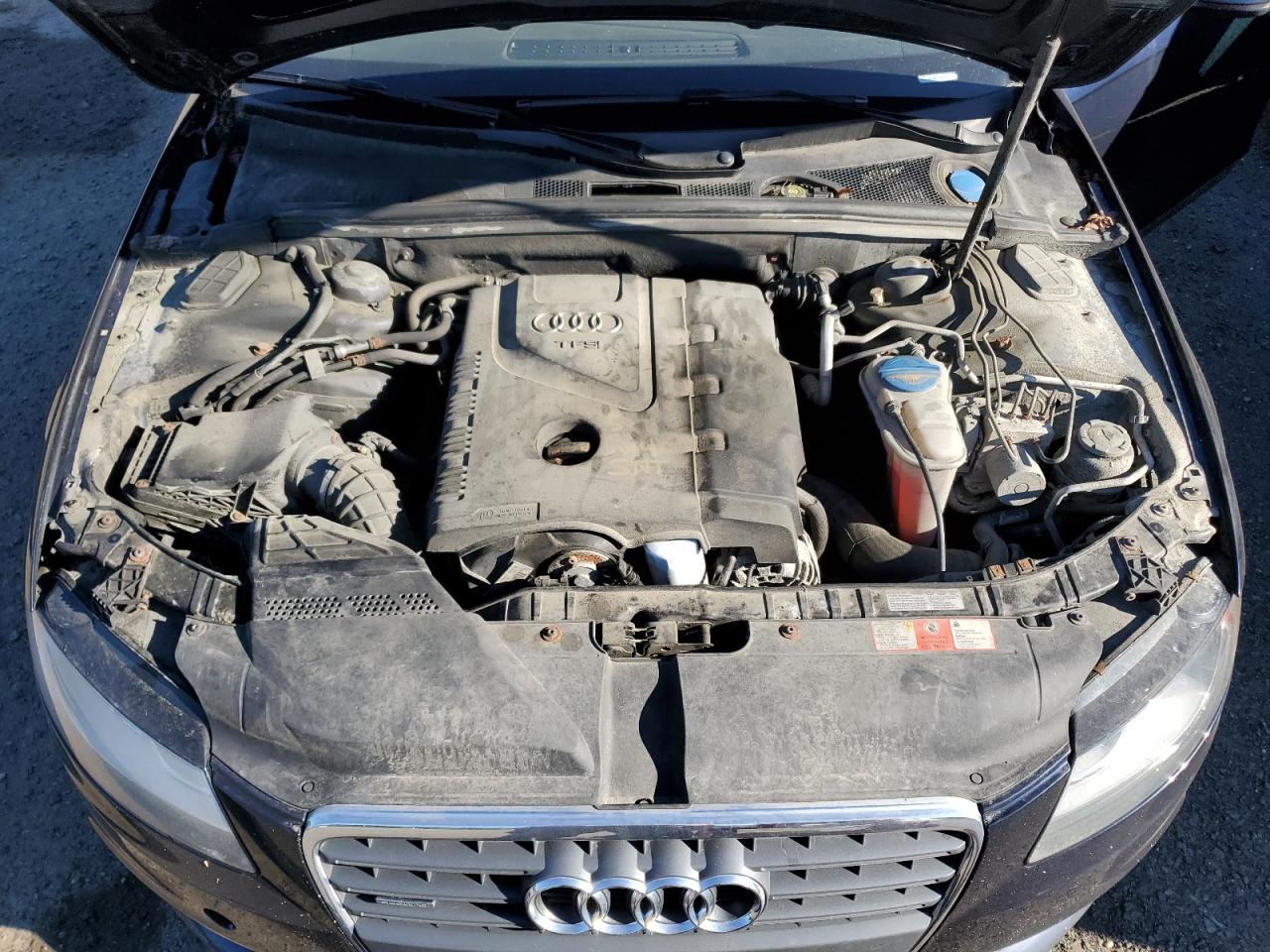 2010 Audi A4 Premium VIN: WAUBFAFL7AN041581 Lot: 65379865