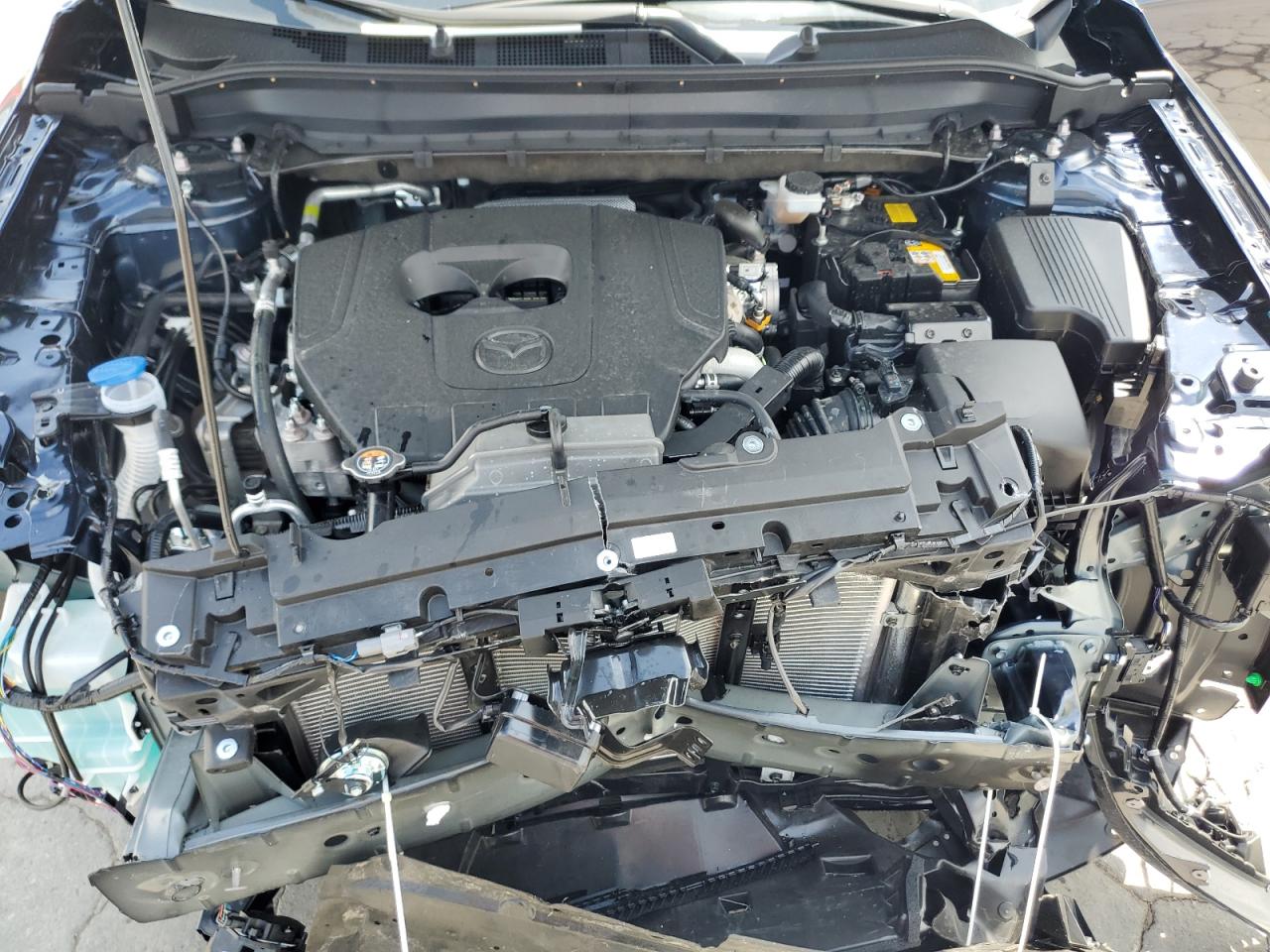 2025 Mazda Cx-5 Premium Plus VIN: JM3KFBEM7S0667964 Lot: 64244565