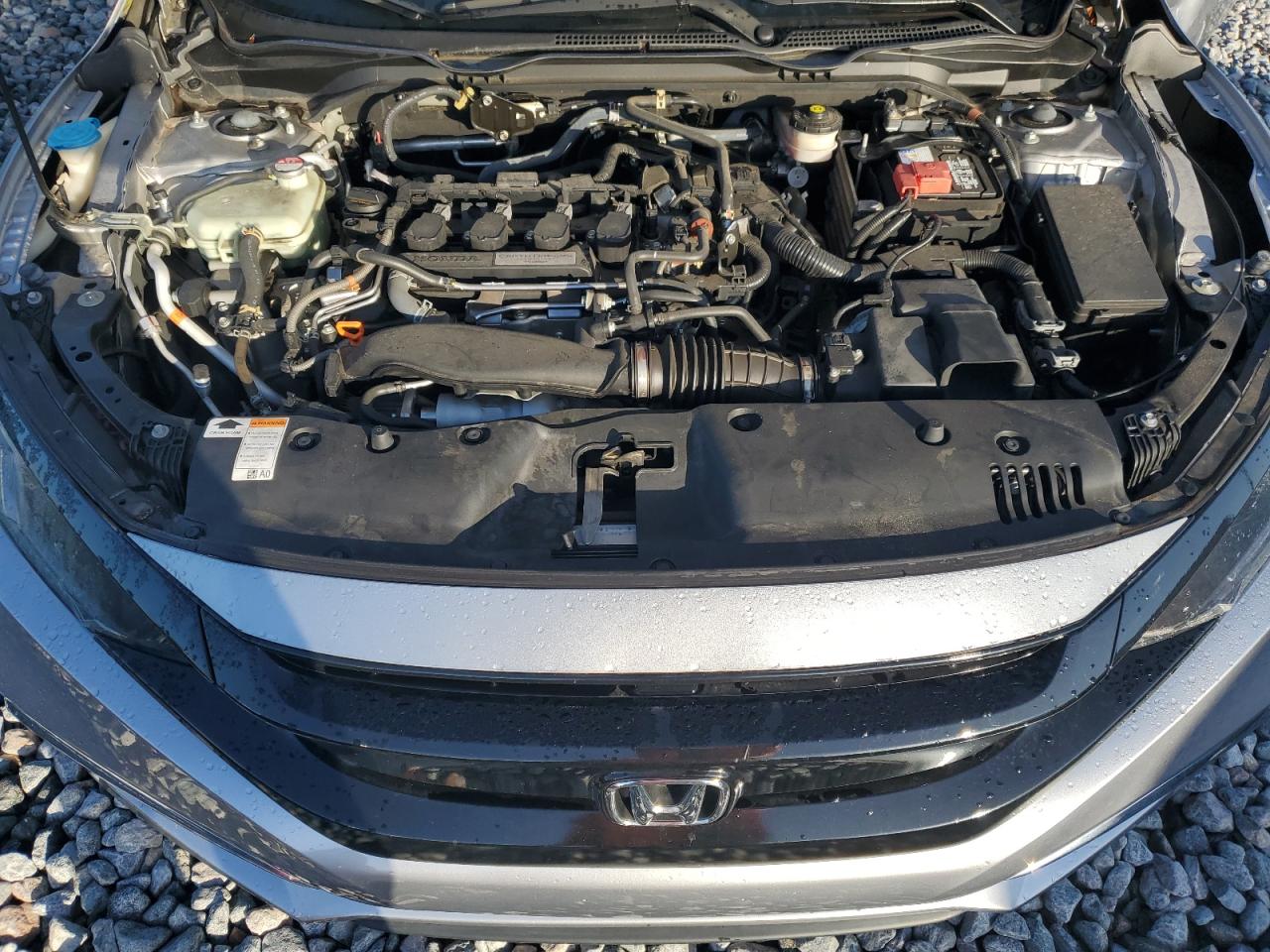 2019 Honda Civic Ex VIN: 19XFC1F31KE010216 Lot: 65279345
