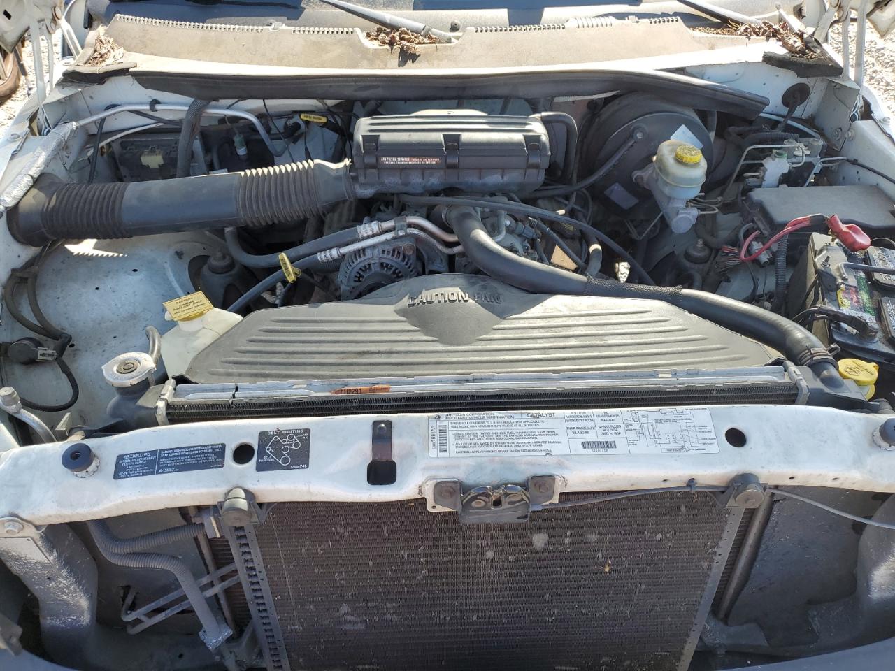 1998 Dodge Ram 1500 VIN: 1B7HF13Z0WJ240511 Lot: 64625055