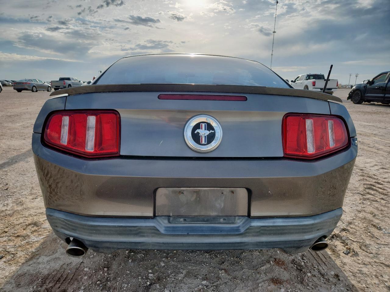 2010 Ford Mustang VIN: 1ZVBP8AN9A5120684 Lot: 64251745