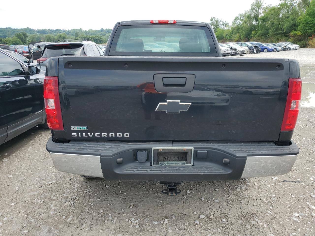2012 Chevrolet Silverado K1500 VIN: 1GCRKPEA6CZ125662 Lot: 64761505