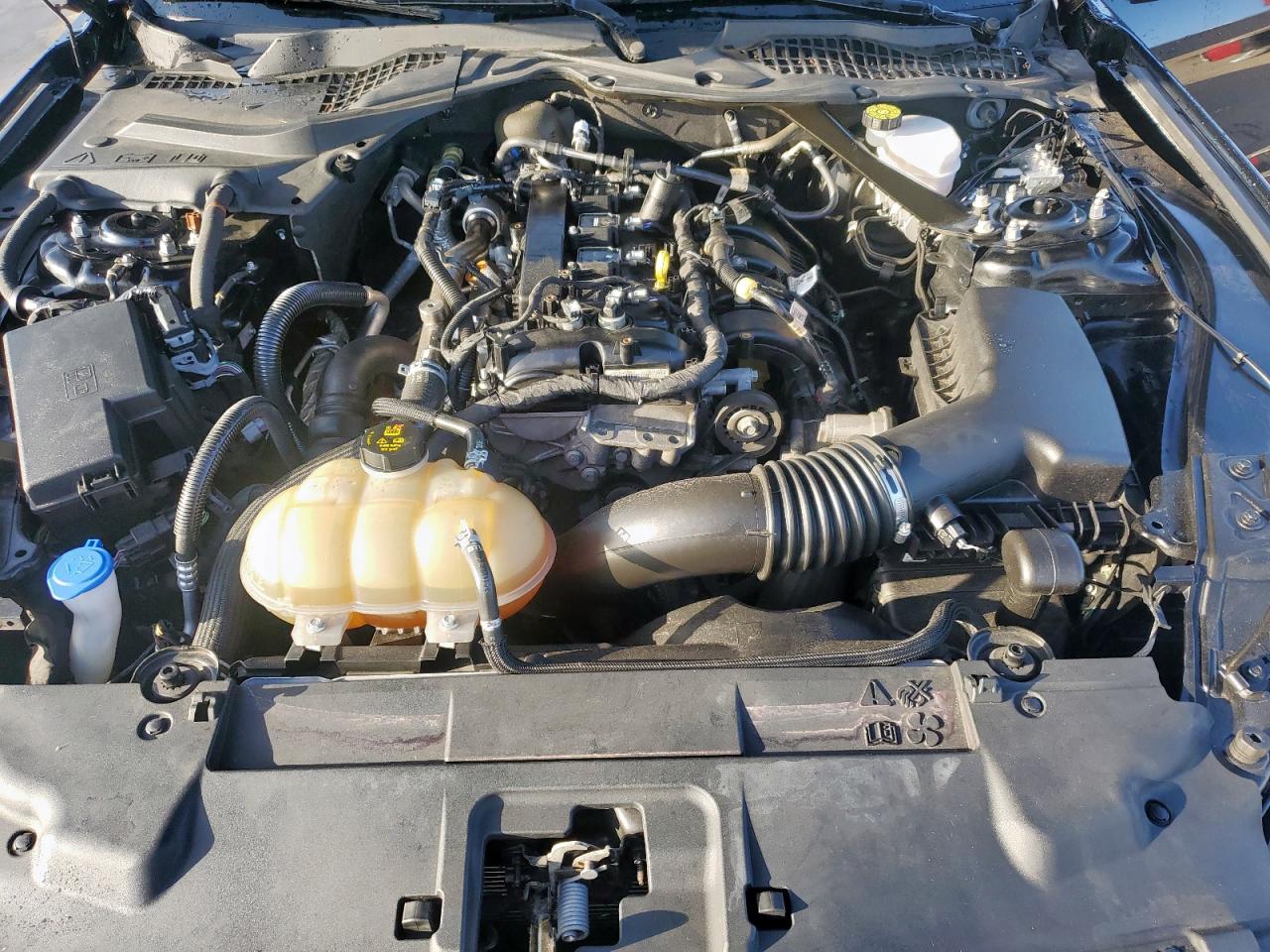 2022 Ford Mustang VIN: 1FATP8UH2N5104058 Lot: 65413215