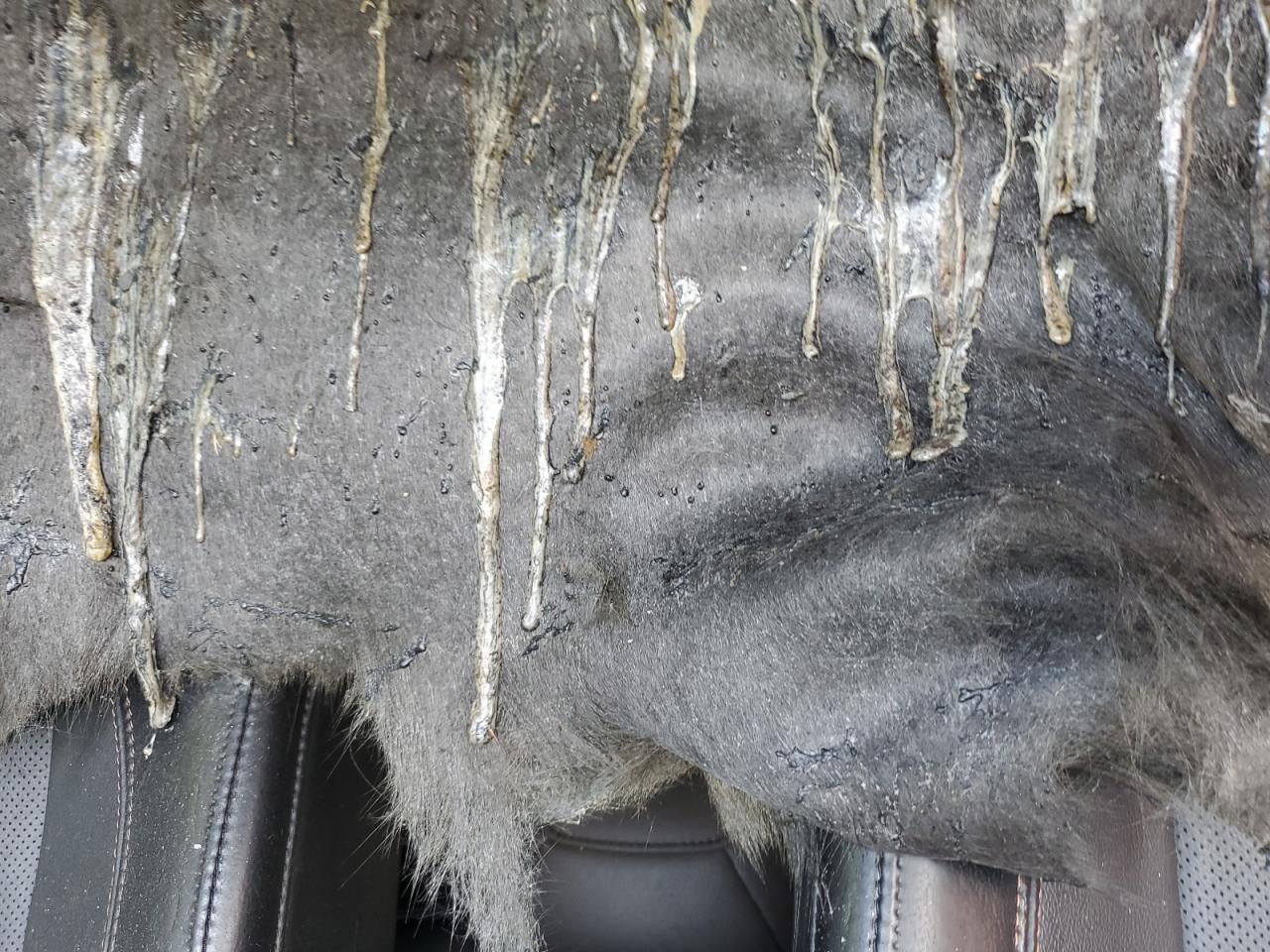 2023 Jeep Compass Limited VIN: 3C4NJDCN4PT520796 Lot: 63484985