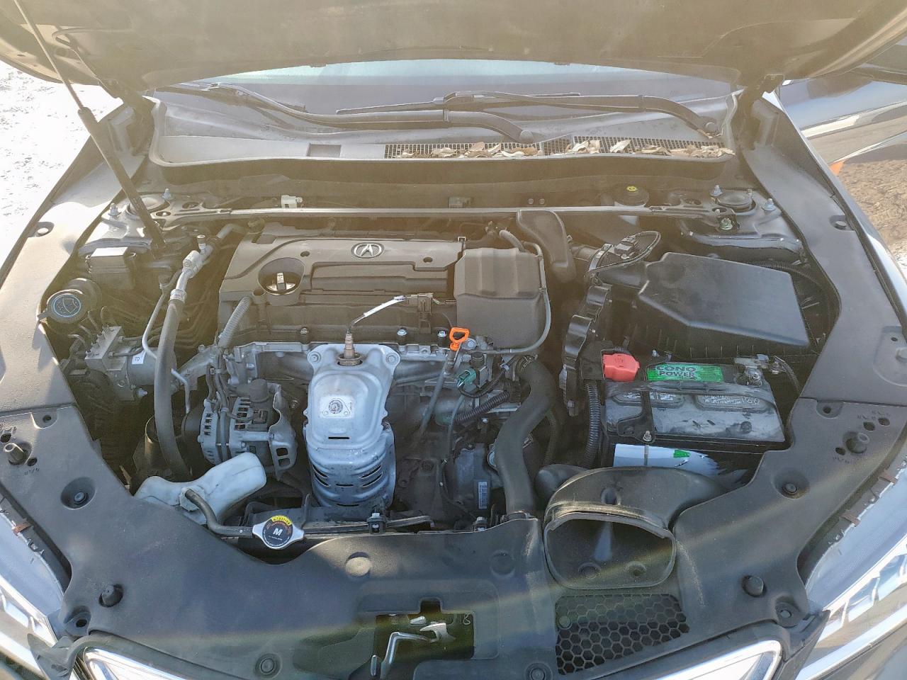 19uub1f38ga015502 19UUB1F38GA015502 2016 Acura Tlx