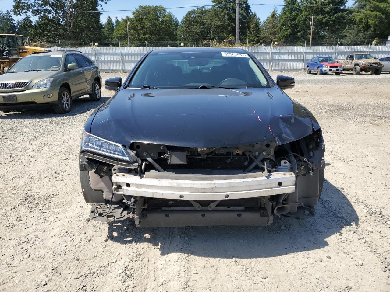 2015 Acura Tlx Advance VIN: 19UUB3F72FA006954 Lot: 66505685