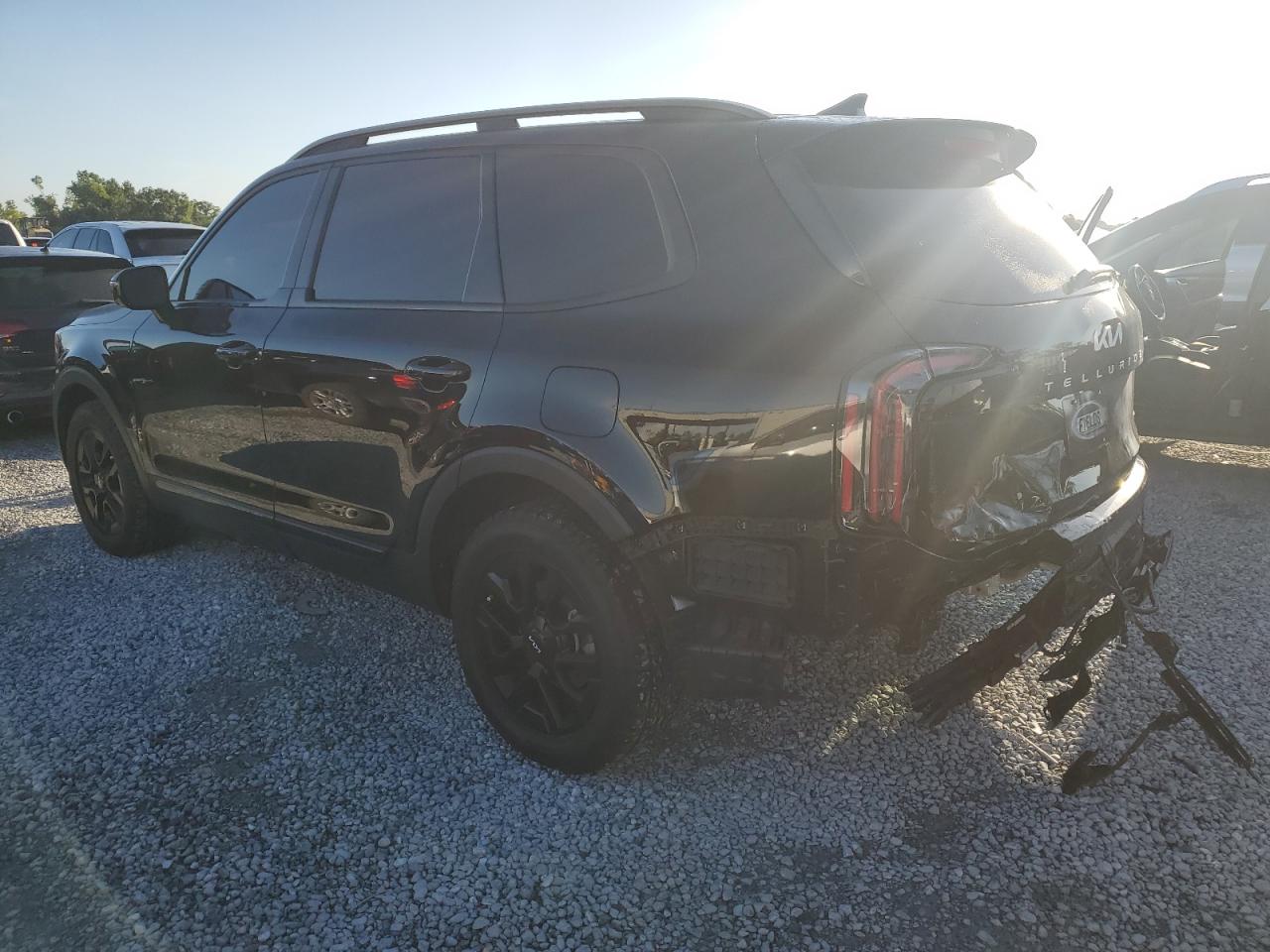 2024 Kia Telluride Sx VIN: 5XYP5DGC2RG416503 Lot: 64498415