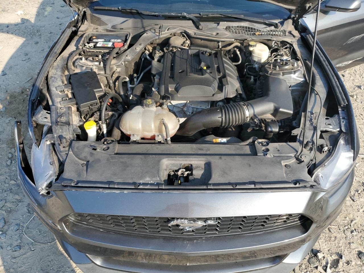 2016 Ford Mustang VIN: 1FA6P8TH7G5333417 Lot: 66069655