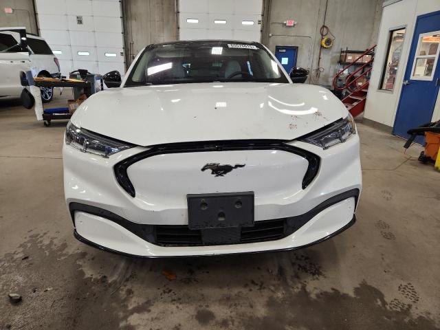  FORD MUSTANG 2021 White